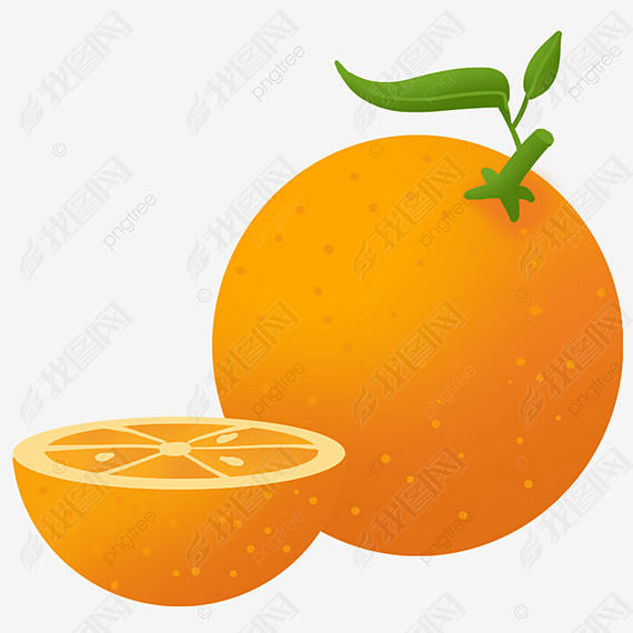 ɫȼֻorangeclipartˮ