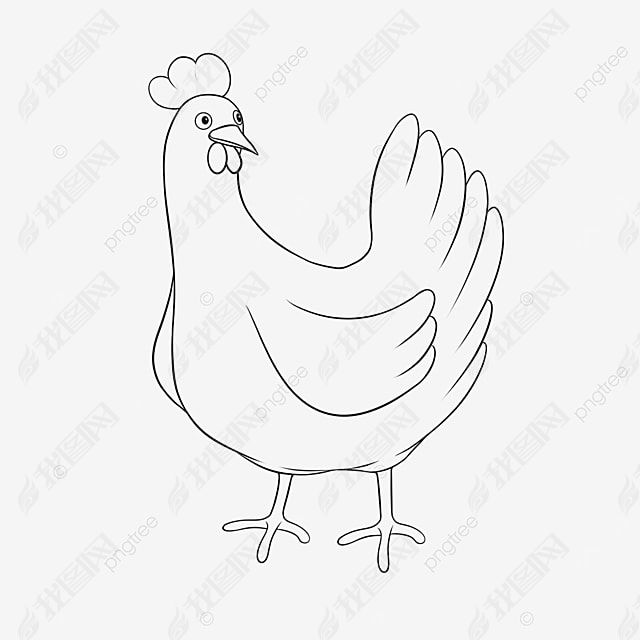 chicken clipart black and white ɰС