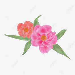 ĵˮʻ