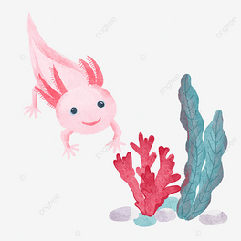 ϔͺˮ
