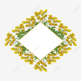 ջˮʾ߅