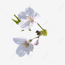 ѻ껨ܴ