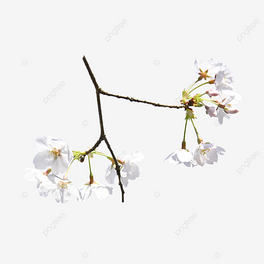 컨ܻɫѻ