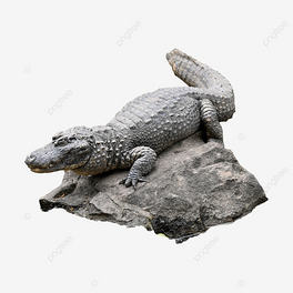 ʯ{~