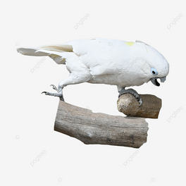 ɫëW^