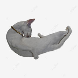 ly؈