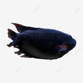 Ұ[~