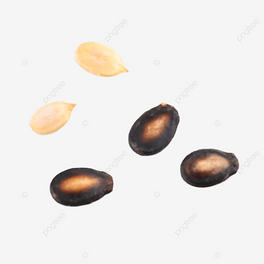 ʳɹԹ