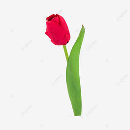 һ֧~