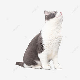 ؈ly؈Ƅëɫ