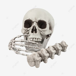 ^ǹ^Ǽ