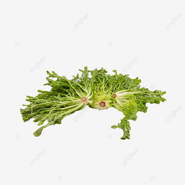 ʹrՠIBraƷoNֲ