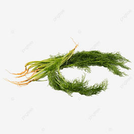ȻȻrҲݱo