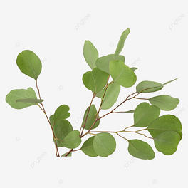 ȼO~ֲȻoݱ