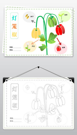 Word(jin)Ư׌W(xu)СW(xu)\L(zhng)ӛС(bo)
