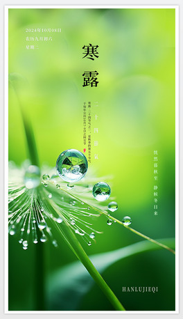 ¶¶պ¶24⺮¶ʮĹ⺮¶˪