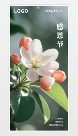 ԭ(chung)(jin)s宋(hu)L(fng)ж(ji)(bo)x̎(ji)ĸH(ji)(bo)