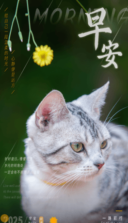 簲(bo)10