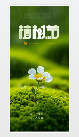 312ֲ九Ƭ