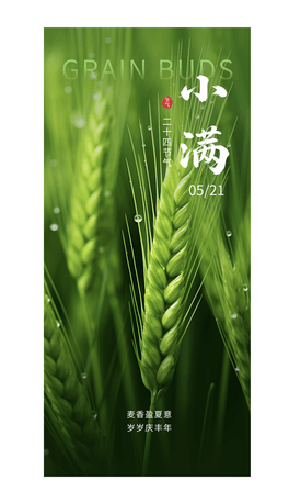ʮĹ(ji)СMȫ