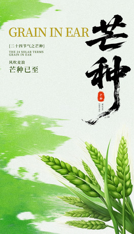 âN   ⺣