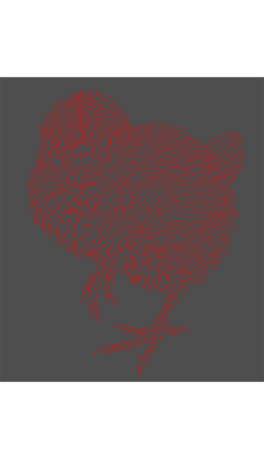 ʸ۲宋ëqɐru