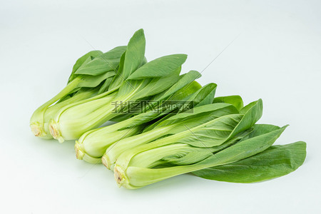 上海青小油菜