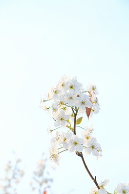 `ŵİɫ滨zӰ،