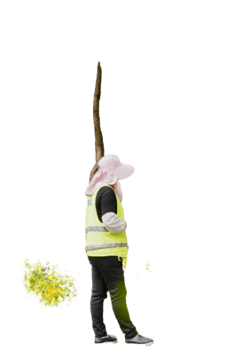 һλTڻ@ˮ⓸Ԫ