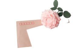 żRZrƬز⓸Ԫ