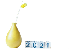 2021 521Ԫ