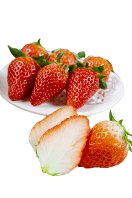 tɫţݮ⓸Ԫ