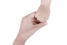 ĸֲ،ĸHɫ⓸Ԫ