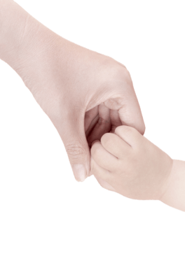 ĸֲ،ĸHɫ⓸Ԫ