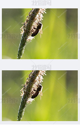 Fly过去式怎么写的 center