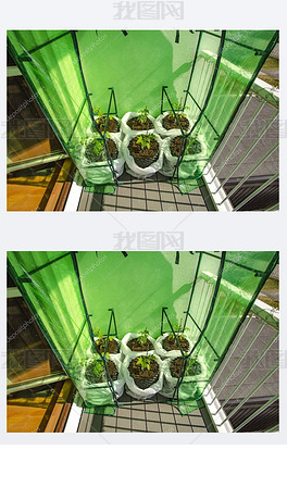 green house在什么旁边 center