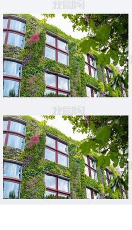 green house中文意思 center