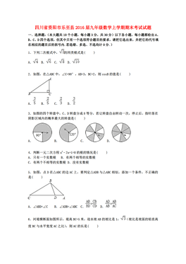 乐至人口数_乐至中学图片