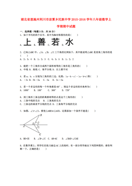 利川总人口数_利川五中图片(3)