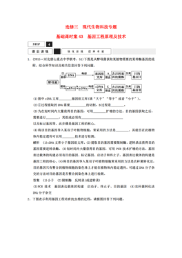 基因工程原理是什么_基因工程(3)