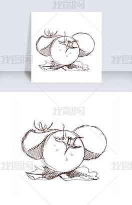 原创线描橙子手绘插画版权可商用