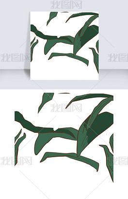 树是怎么长的动画 center