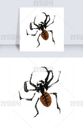 中国风水墨昆虫蜘蛛手绘插画