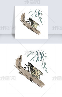 猜知了手成语_知了简笔画