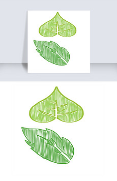 绿叶子是什么 230x356a0a0