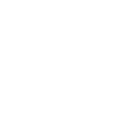 vwOӋ