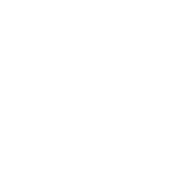 L۹P֕wW_WØ}İ