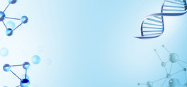 t{ɫsbanner