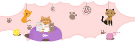 ؈צӡɫɐbanner