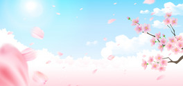 촺һɫΨ캣󱳾
